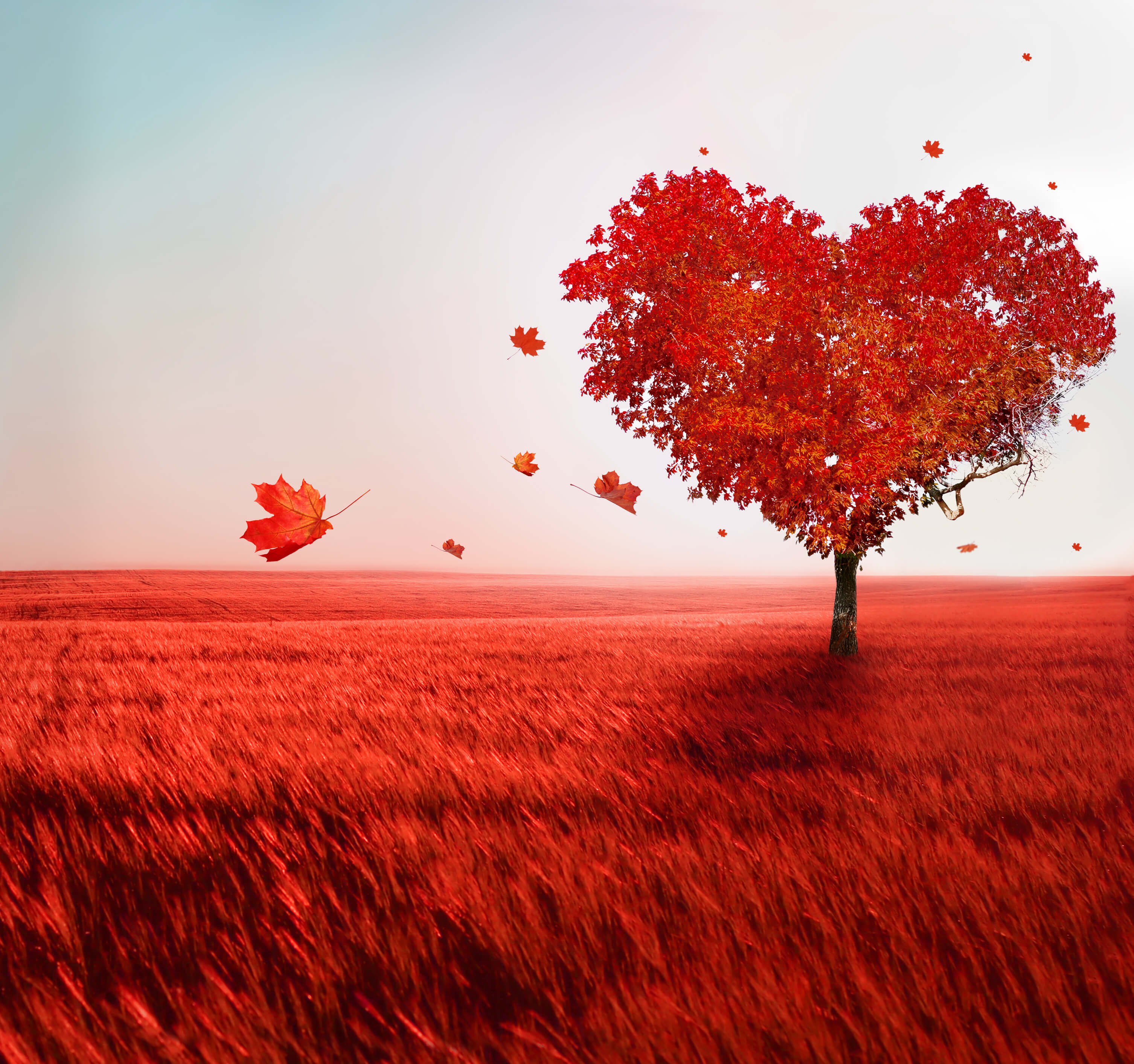 Valentine s Day Date Idea For The Second Third Fourth Date