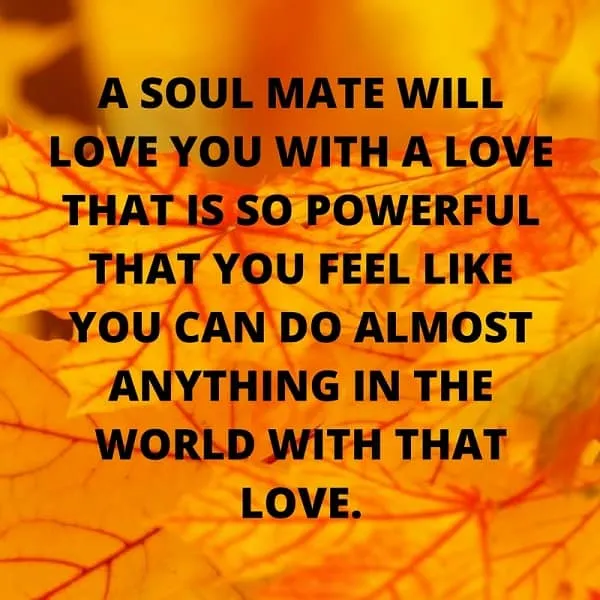 soul mate quotes