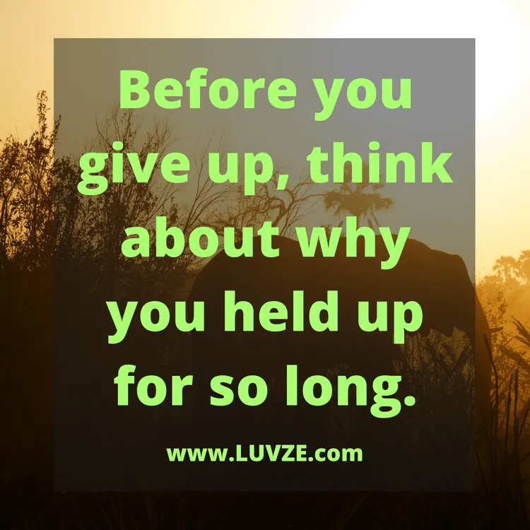 never give up quotes