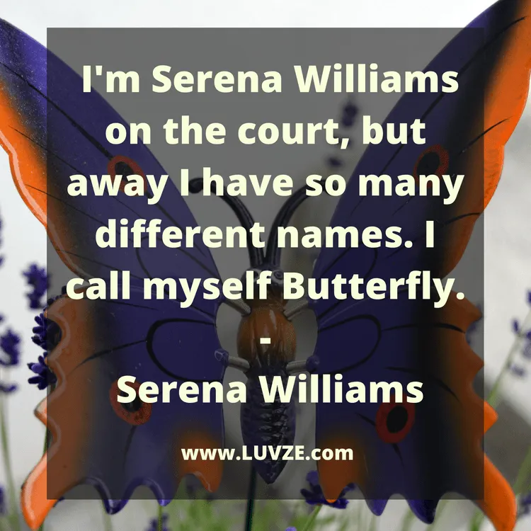 butterfly quotes