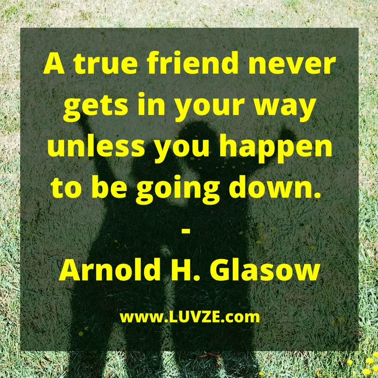 friendship quotes