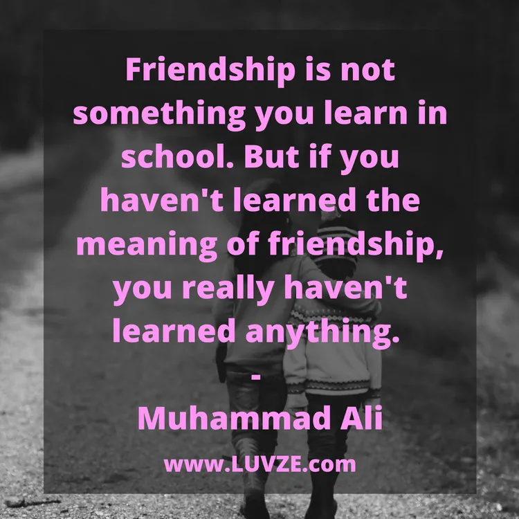friendship quotes