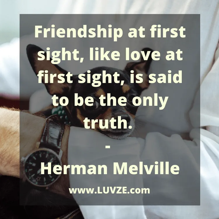 friendship quotes
