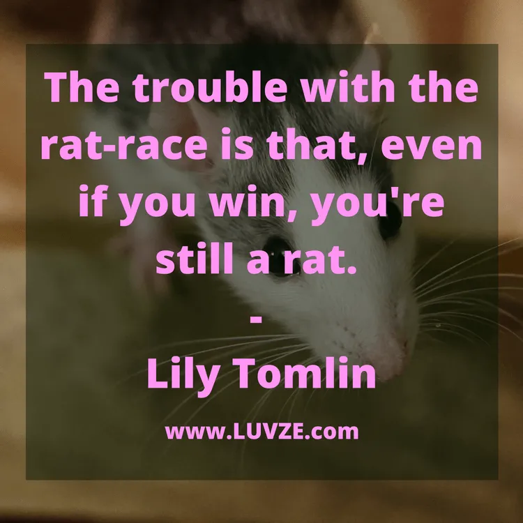 funny inspirational quotes