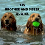 brother sister quotes
