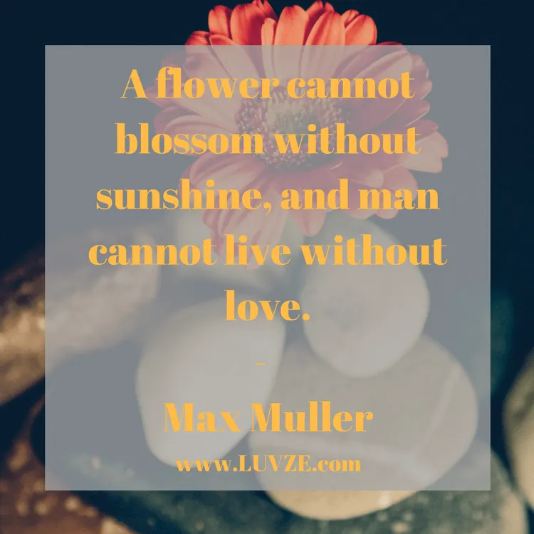 Uplifting Quotes to Live By