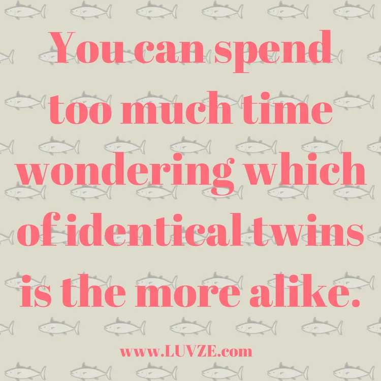 quotes about twins
