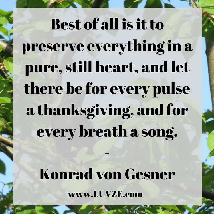 thanksgiving quotes