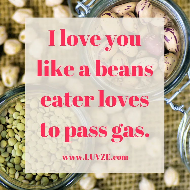 Funny And Cute I Love You Like Quotes