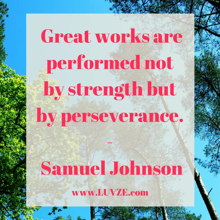perseverance quotes