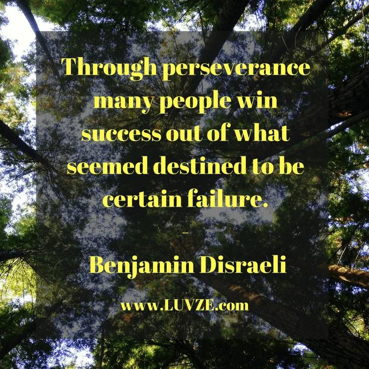 perseverance quotes