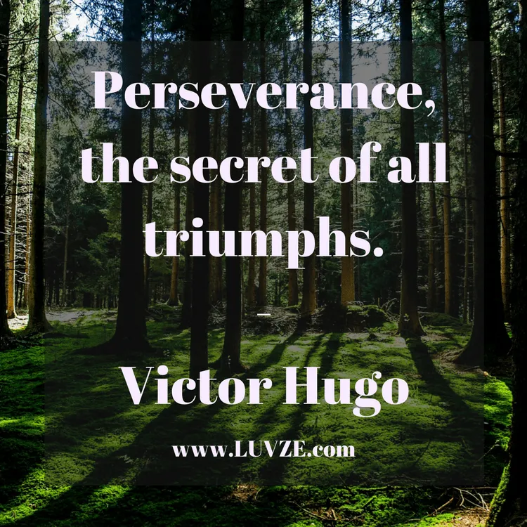 perseverance quotes