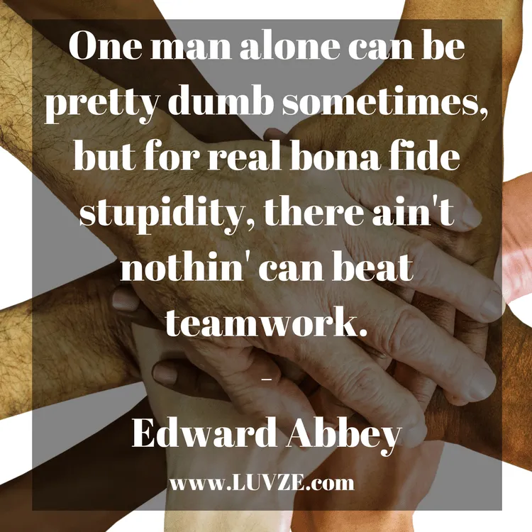 teamwork quotes