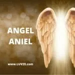 angel aniel