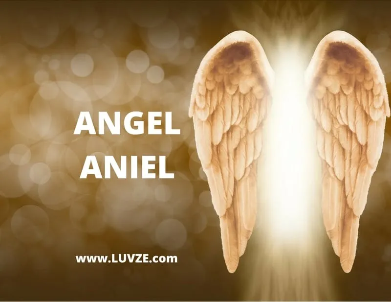 angel aniel
