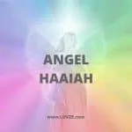 angel haaiah