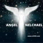 angel nelchael