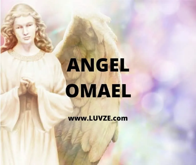 angel omael