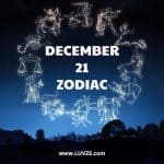 December 21 zodiac sign