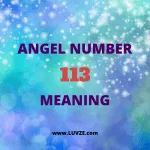 angel number 113 meaning