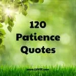 best patience quotes