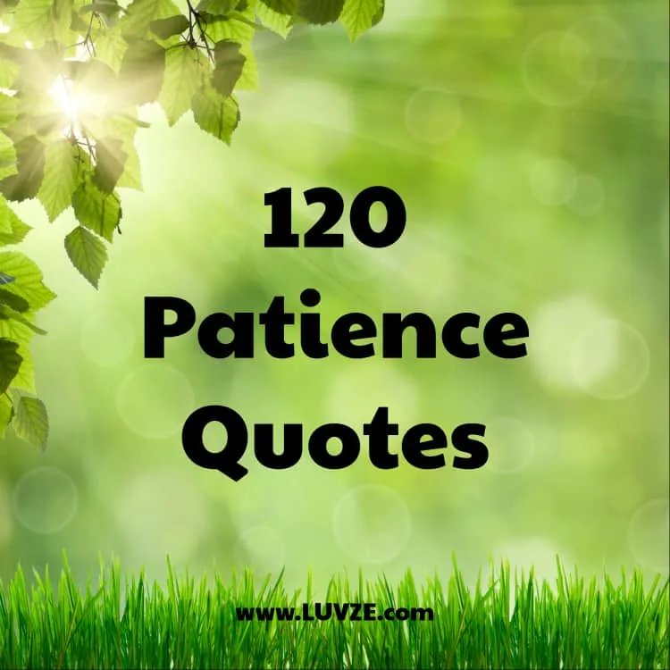 best patience quotes