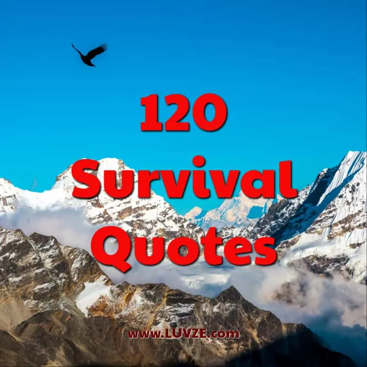 survival quotes