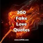 fake love quotes