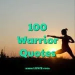 warrior quotes