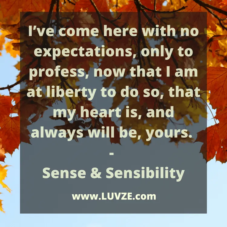 movie love quotes