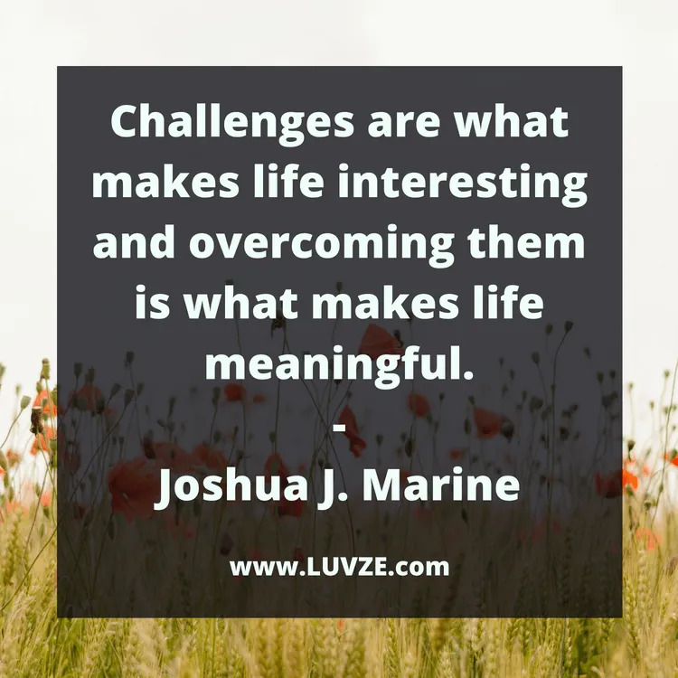 famous quotes