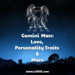 gemini man